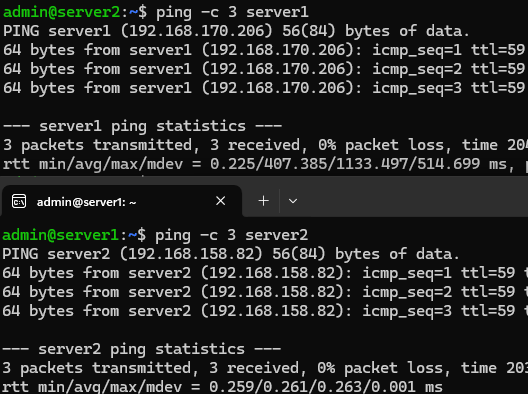 ping server by hostname